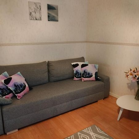 Spacious Apartment With Balcony And Free Wifi Rovaniemi Bagian luar foto